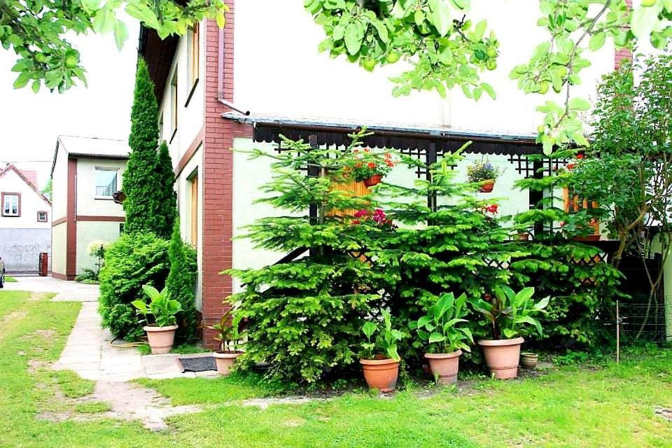 Pokoje Goscinne Asia Leba Ngoại thất bức ảnh
